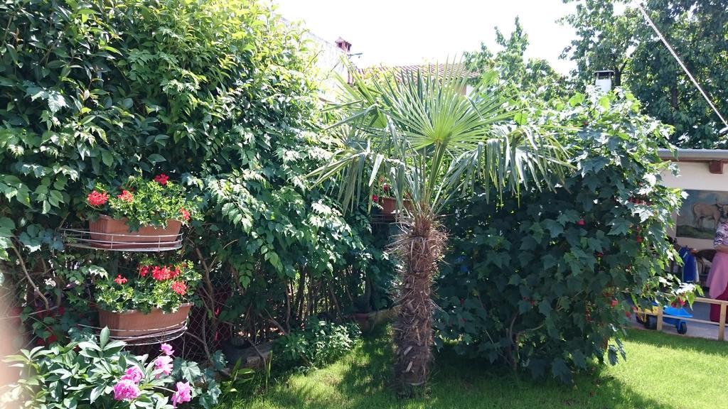 Jaklin Apartament Rovinj