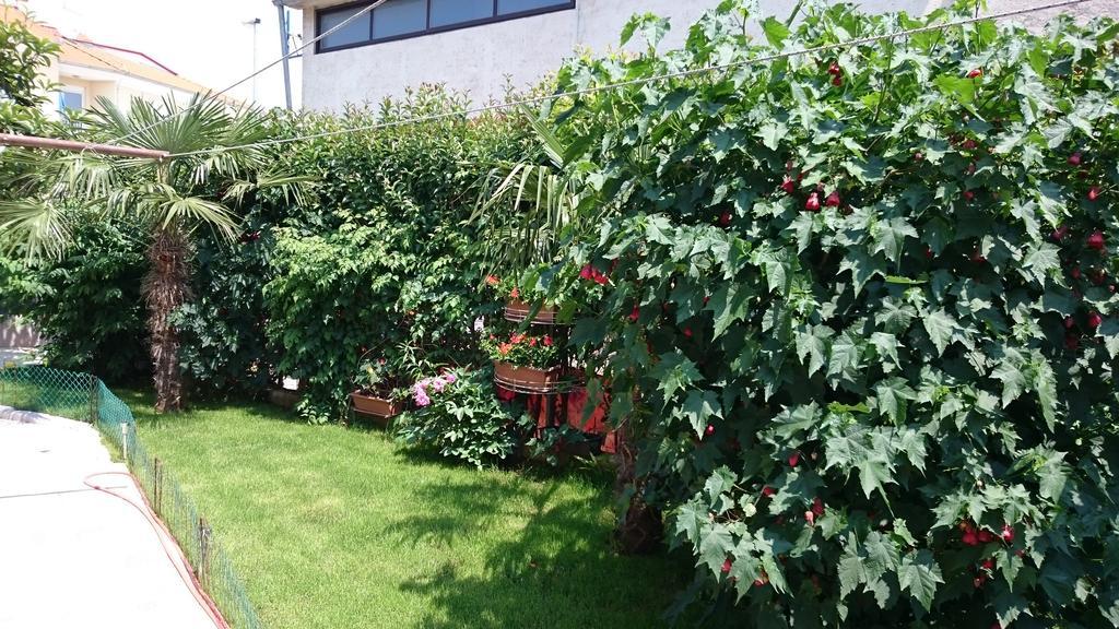 Jaklin Apartament